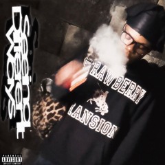 Seeing Different Ways