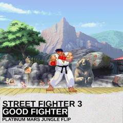 GOOD FIGHTER - PLATINUM MARS FLIP (PLATINUM MARS JUNGLE FLIP)