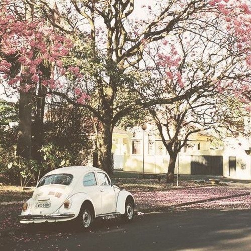 Stream Please Never Fall In Love Again Ukulele Cover by Ladybird