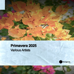 Primavera 2025 VA