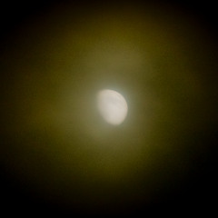Moonshiner