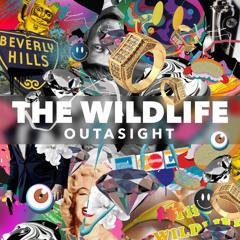 The Wild Life (Clean Version)