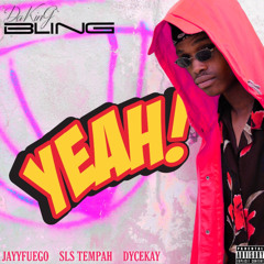 DaKinG BlinG ft Jayyfuego x Tempah sls and Dycekay - Yeah!!.mp3
