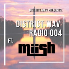 District.wav Radio 004 ft. miish (Downtempo mix)