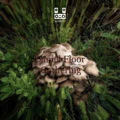 Daniel Floor - Gathering