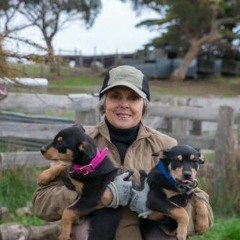 NANCY WITHERS IN CONVERSATION WITH ABC SOUTH EAST PART TWO