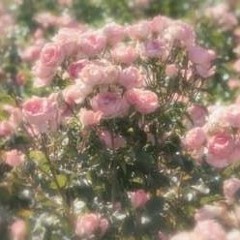 Turning Page - Sleeping at Last (Cover)