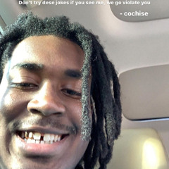 COCHISE KNICKS LEAK