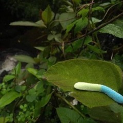 jordan creek theater 2004 demo