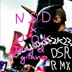 UOK & NSD - Tony El Gipsy (DSR 2K23 Remix) [Free Download]