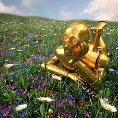 Enchanting You, To Let Your Body Groove