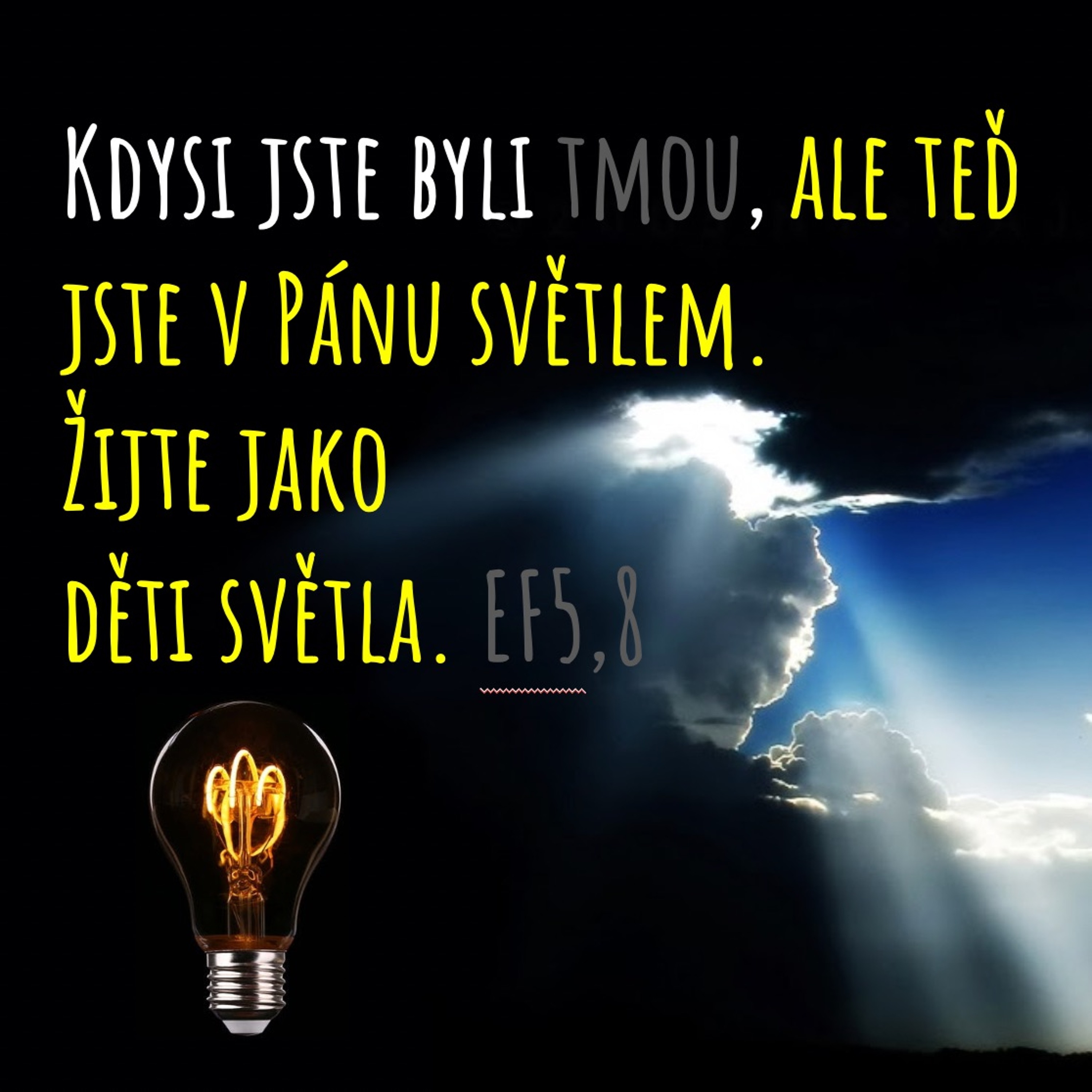 Děti světla - Bolek Taska (29.8.2021 - CZ)