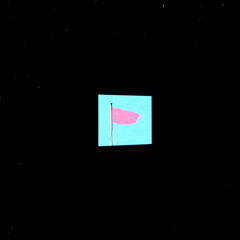 Pink Flag (r1) ((29 Nov 1999 Version))