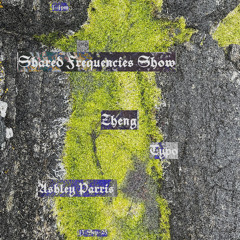 Typo Guest Mix (Zheng's Shared Frequencies Show 09-25 - BMC Radio)