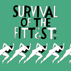Mobb Deep - Survival Of The Fittest RMX