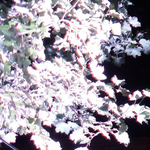 MF8 @ Ballagi OpenAir /2020.08.01\