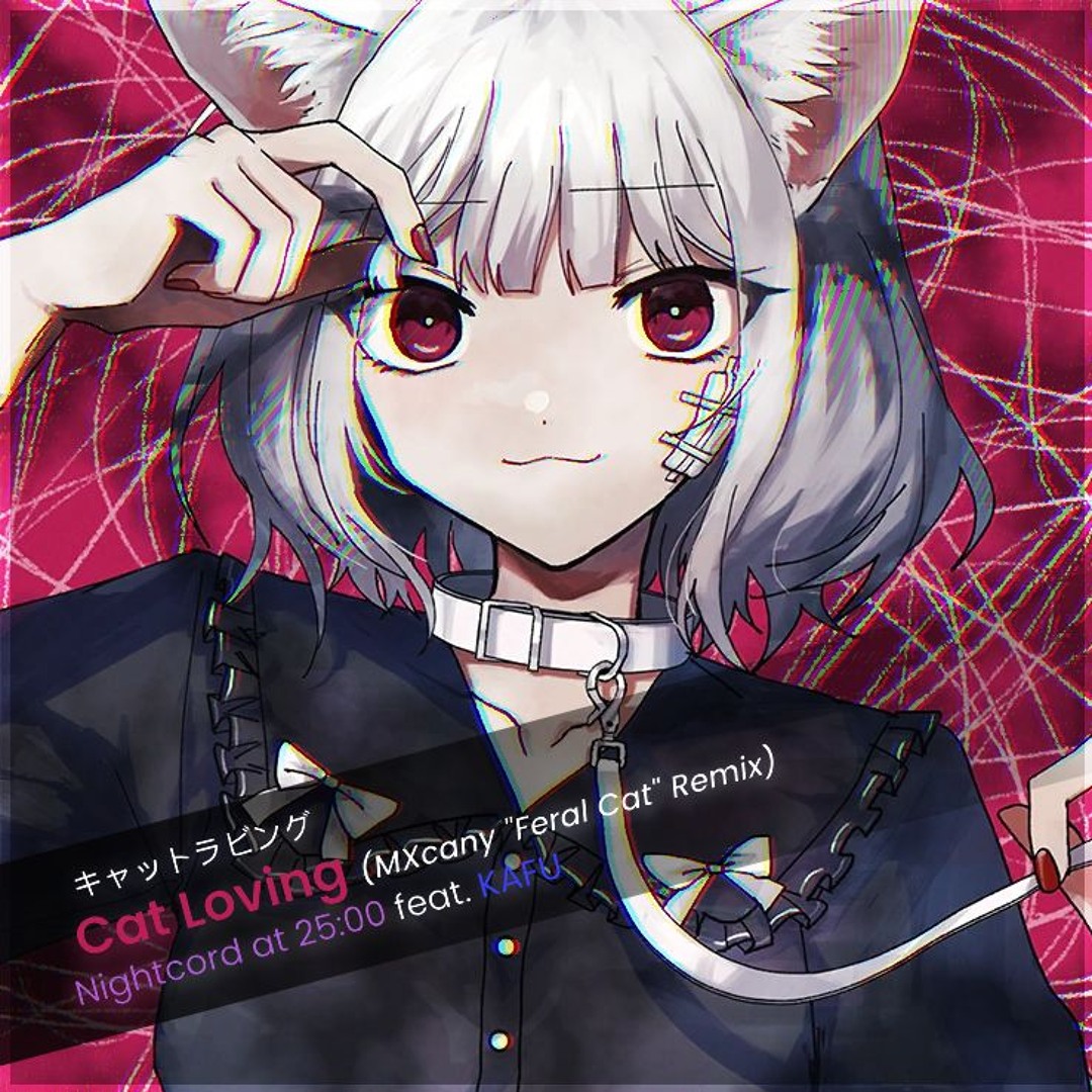 Stream 25時、ナイトコードで。 × 巡音ルカ - キャットラビング / Cat
