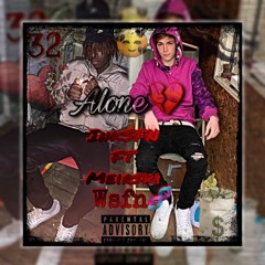 Ink SFN X Meirski - Alone