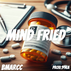 Mind Fried
