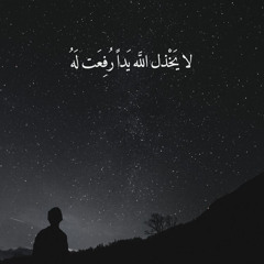 يا ودي الراحل | سلمان الملا
