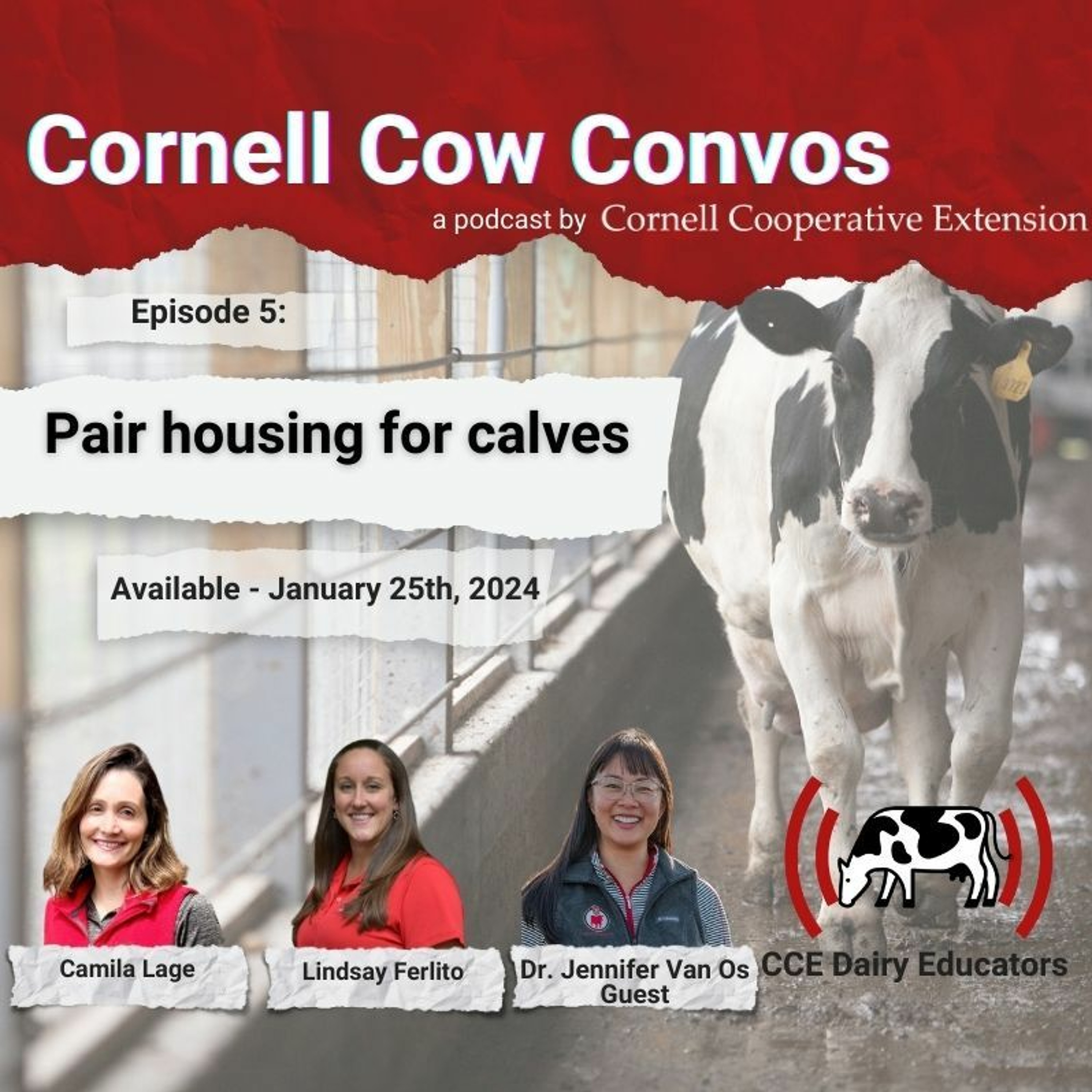 CCE DAIRY EDUCATORS