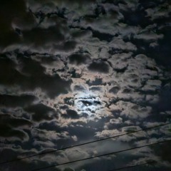 vegard veslelia - godnatt