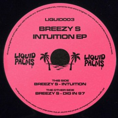 PREMIERE : Breezy S - Intuition
