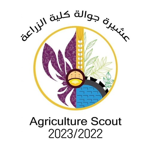 {دوري بينا يا الايام} داخلة زراعة الشاطبي مهرجان الاسمار ال1