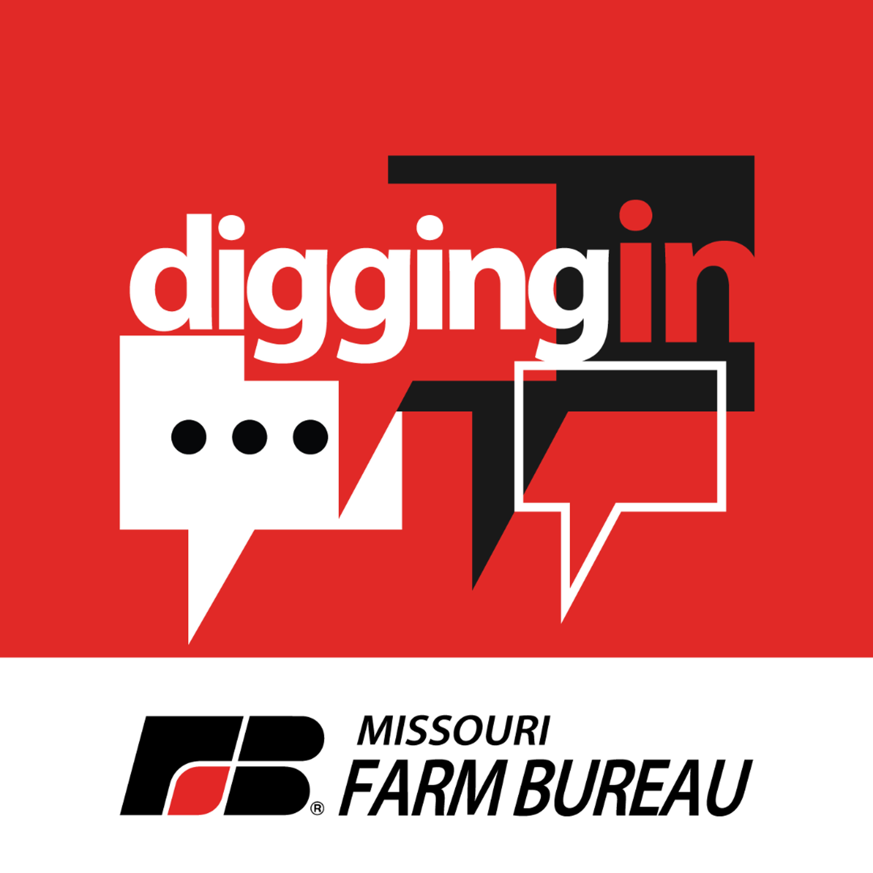 Digging Into the August Election with Garrett Hawkins and Charlie Kruse episode artwork