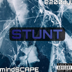 STUNT (ft.2200dyl)