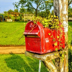 stupid(feat.100su)(prod. young mad)