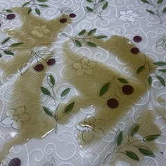 BIG CHARLIE EXPERIMENT (786)