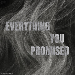Everything You Promised
