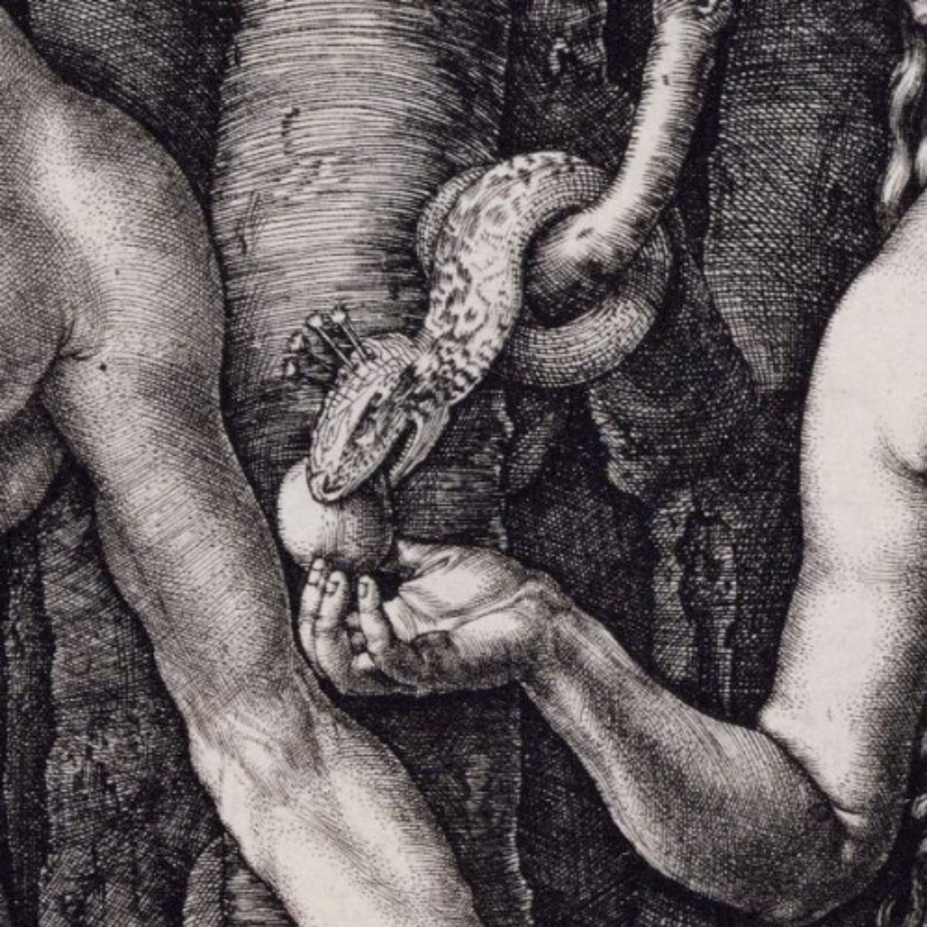 3-01-26 Trouble in Paradise (Genesis 3: 1-7)