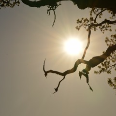 Flow Of Life