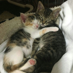 06lovestory (jeisli)