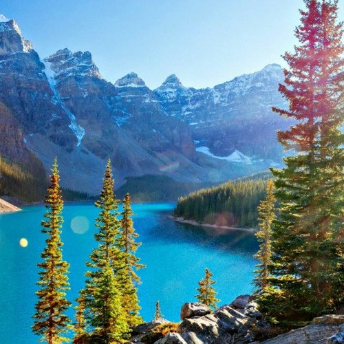 Sparta Taiga V2 Base