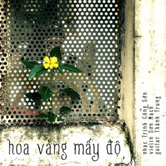 Hoa Vàng Mấy Độ (violin & guitar)