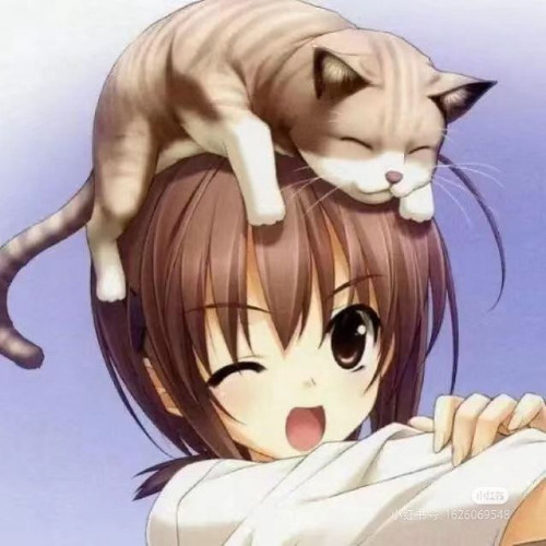 meow moew meow meow....meow..