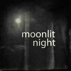 Moonlit Night (naviarhaiku447)
