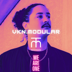 mercyTechno - Vkn.modular "Montpellier"