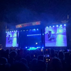 fred again type beat- what if you fly?