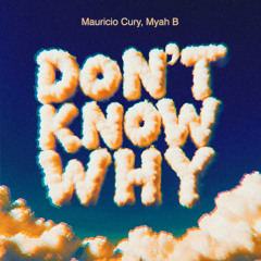 Don't Know Why (Remix) [feat. Myah B]