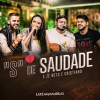 Sertanejo 2019 Top 100 Musicas Sertanejas Mais Tocadas Sucessos Sertanejos By Kolibri Music