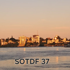 SOTDF37