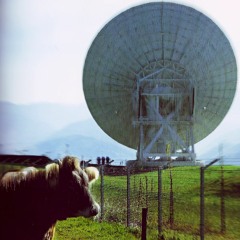 interference