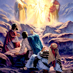 The Transfiguration & Christian Meditation