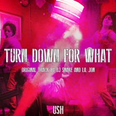 TURN DOWN FOR WHAT EDIT (FREE DL)