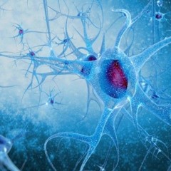 -GBS-    135BPM      29||1||2021