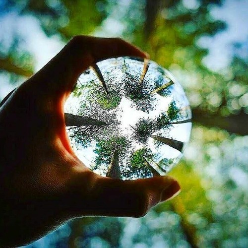 Reflective
